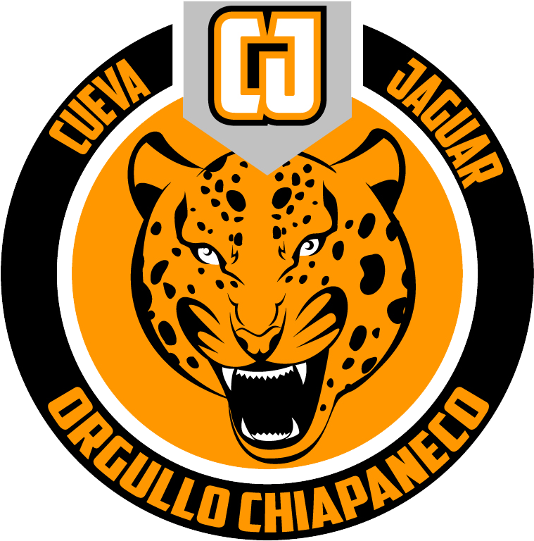 Logo Del Club America - Bangladeshscouts Org (800x800), Png Download