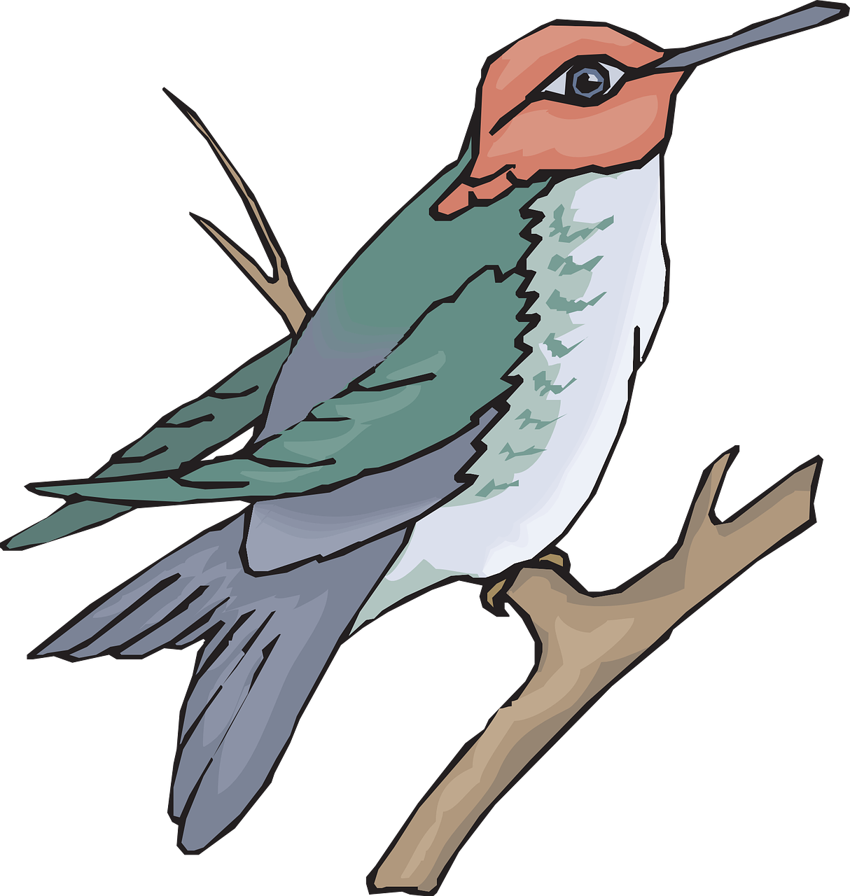 Bird Branch Wings Hummingbird Png Image - Sun Bird Clipart (1214x1280), Png Download