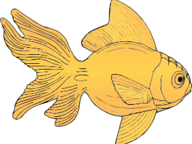 Original - Gold Fish Shower Curtain (640x480), Png Download