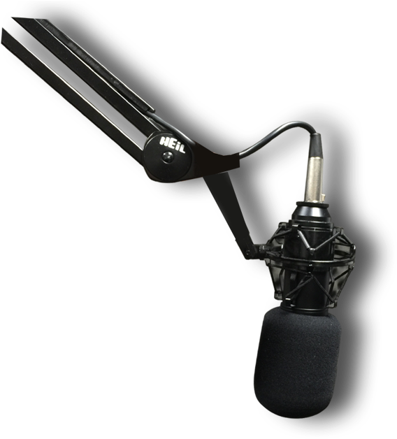 Radio Station Microphone Png - Rifle (585x647), Png Download