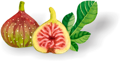 Health Benefits Of Figs - Common Fig (554x295), Png Download