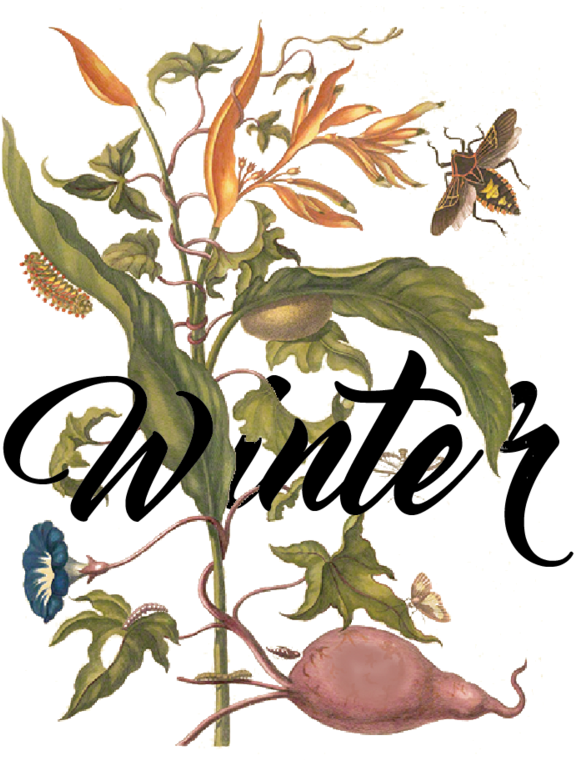 Seasons -03 (1000x893), Png Download