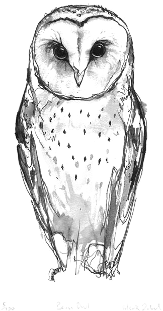 Australian Drawing Barn Owl - Small Barn Owl Tattoo (564x846), Png Download