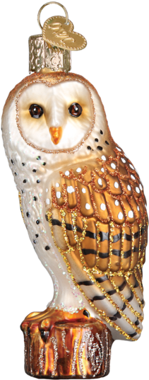 Barn Owl Ornament - Minnesota Golden Gophers Diploma Ornament, Multi (582x582), Png Download