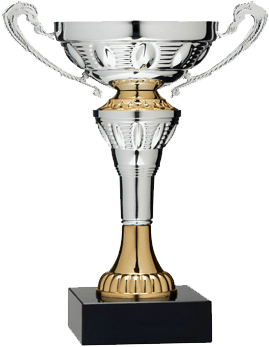Sports Winner Certificate Format (350x350), Png Download