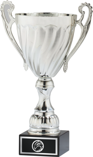 Silver Metal Cup Trophy - Custom 11 1/2" Silver Trophy Cup W/ Plastic Stem, Promotional (297x500), Png Download