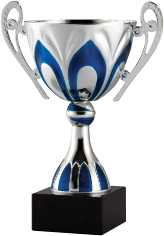 Blue/silver Cup Trophy - Trophy Cups (333x479), Png Download