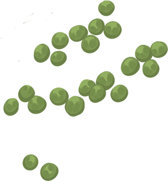 Pea Png - Peas Png (450x494), Png Download
