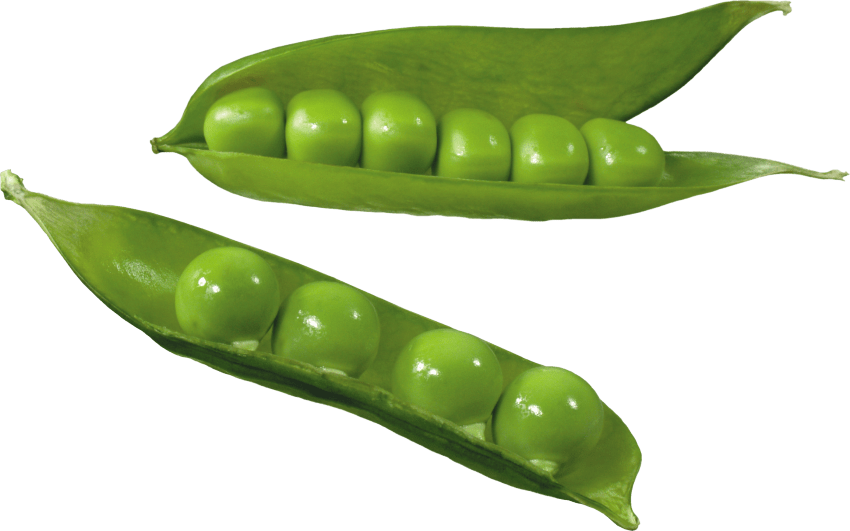 Free Png Pea Png Images Transparent - Green Peas Vegetables Clipart (850x531), Png Download