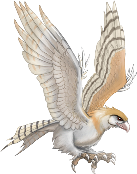 Roc Barnowl - Red-tailed Hawk (350x350), Png Download
