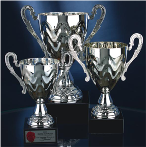 Traditional Silver Cup Trophy (400x300), Png Download