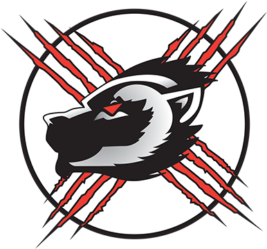 Sledge Hockey - Mirror (400x399), Png Download