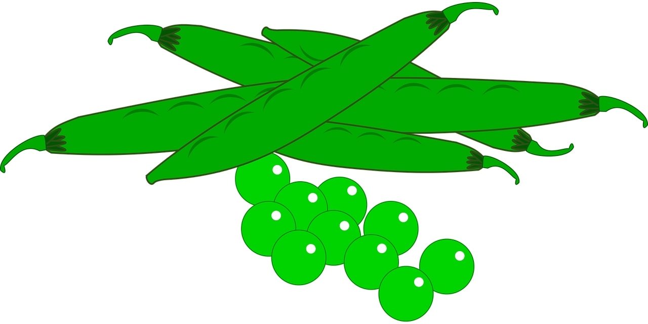 Garden Fresh Vegetables Food Free Photo From - Clipart Vegetables Peas Png (1280x640), Png Download