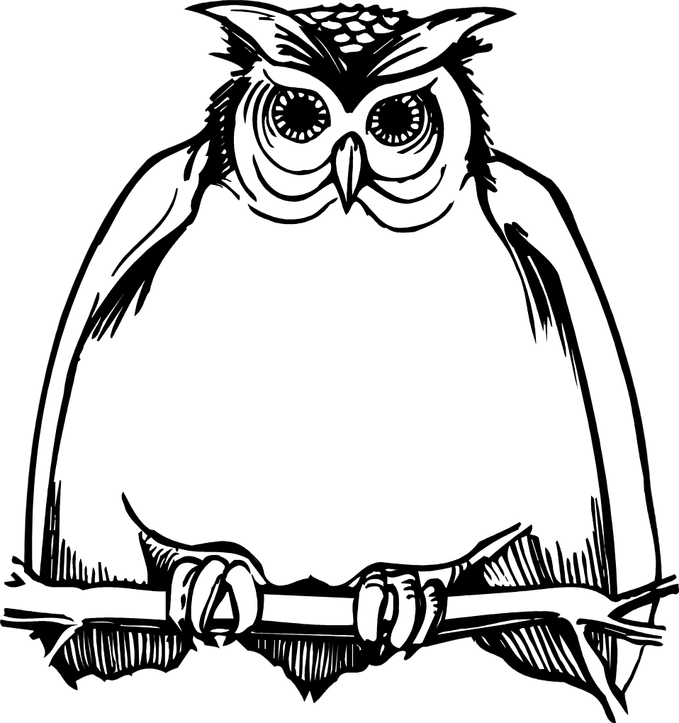 Horned Owl Clipart Black And White - Owl Clipart Black And White Png (958x1020), Png Download