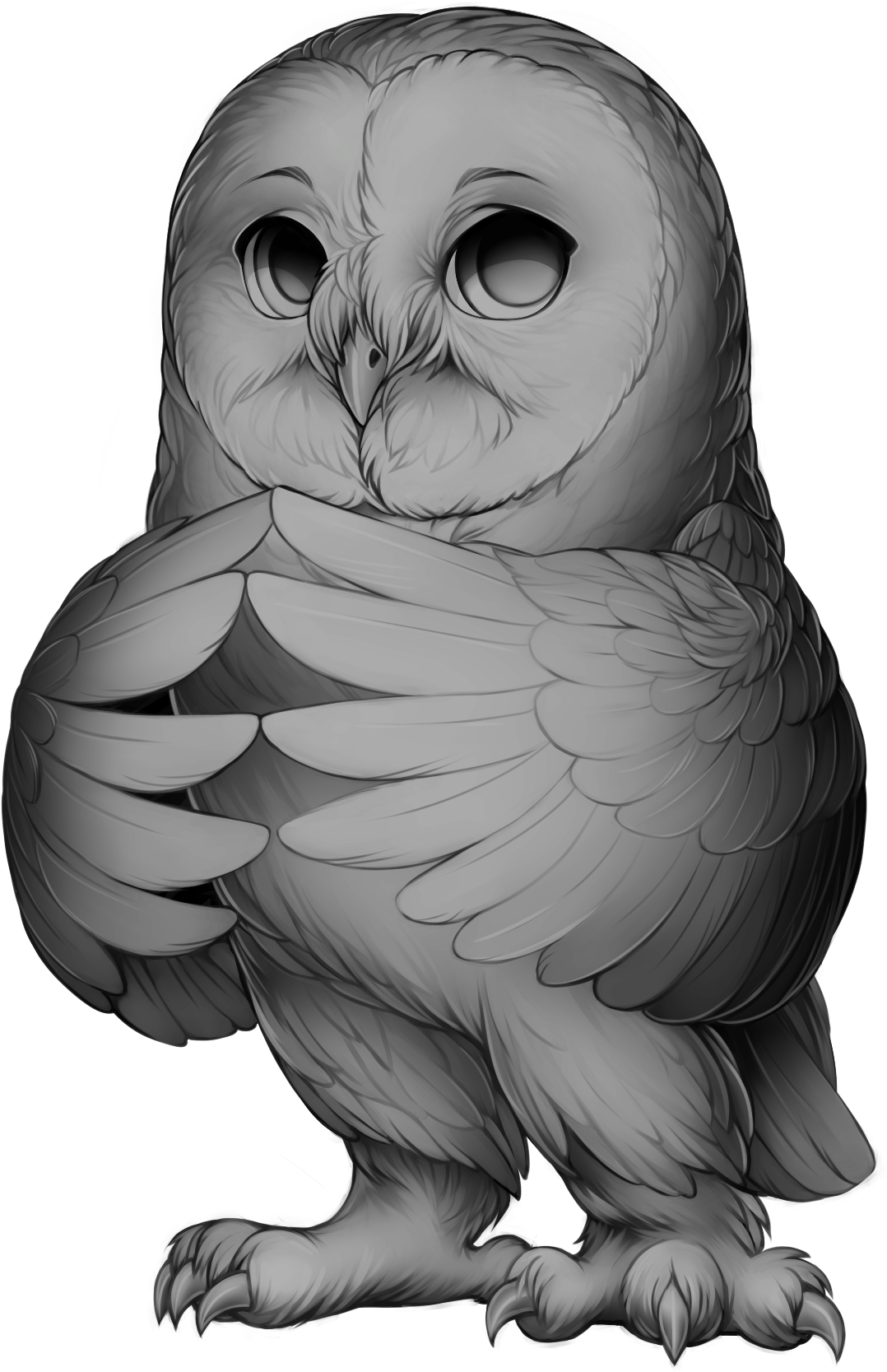 Owl Grey (1200x1714), Png Download