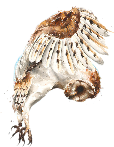Report Abuse - Watercolor Painting (383x491), Png Download