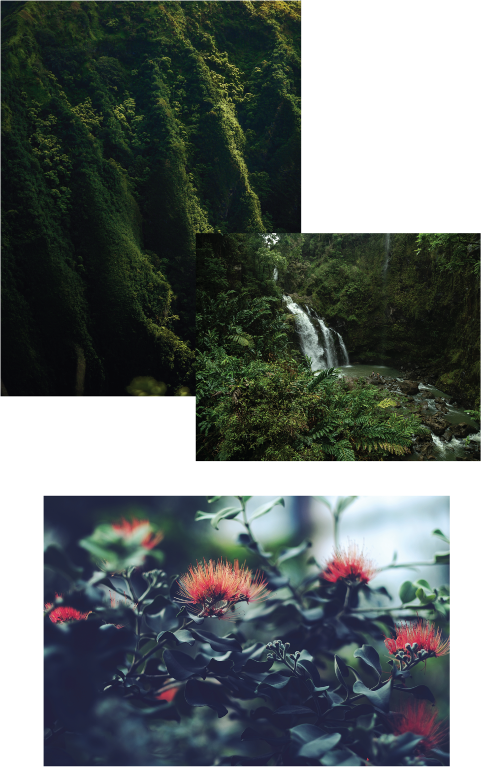 Mamaki Tiles B-01 (1000x1647), Png Download