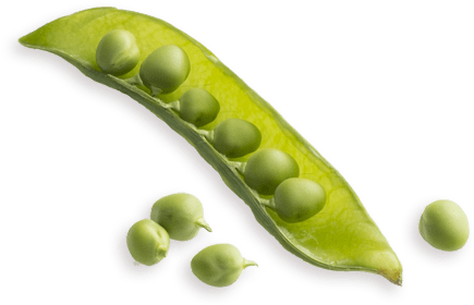 Peas - Ingredient (500x500), Png Download