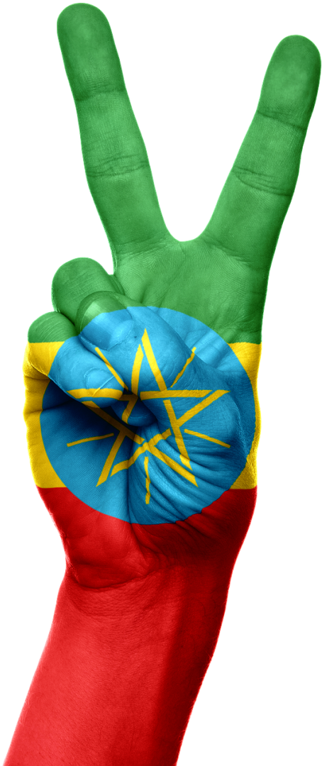 Ethiopia Flag (500x1082), Png Download