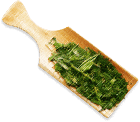 Green Tea Brand - Paint Brush (488x427), Png Download