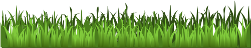 Meadow Green Isolated Stock - Transparent Background Grass Clipart (500x250), Png Download