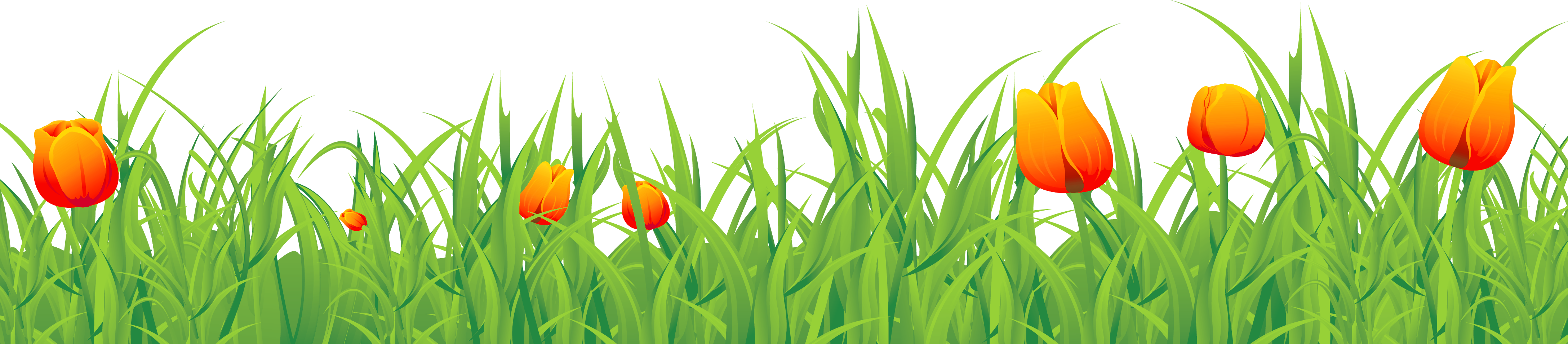 Ground Clipart Transparent Background - Grass Tulips Png (4351x954), Png Download
