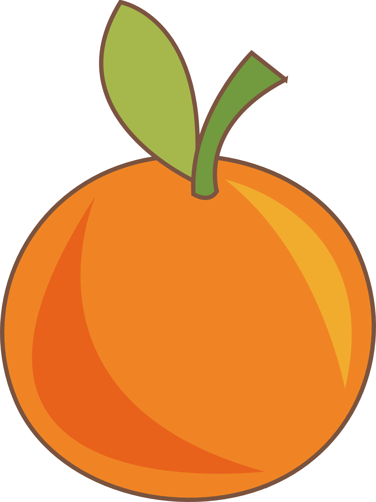 Resultado De Imagen De Naranja Vector - Orange Fruit Drawing (539x720), Png Download