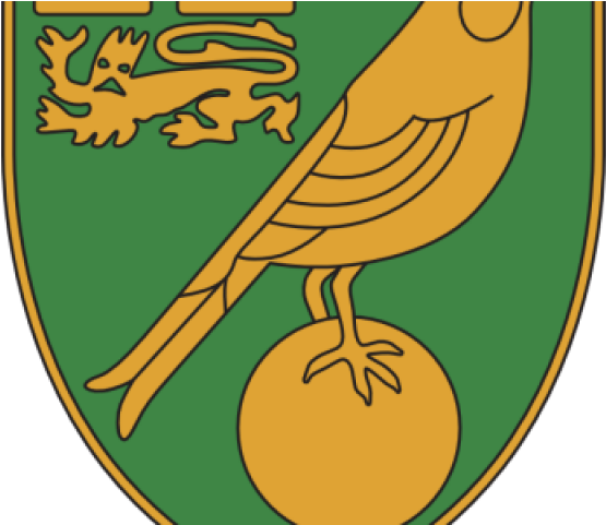 Norwich City F - Norwich City F.c. (640x480), Png Download