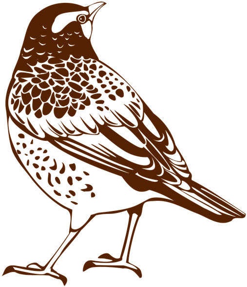 Portable Network Graphics Clipart Thrush Bird Clip - Drossel-silhouette Spiral Notizblock (640x640), Png Download