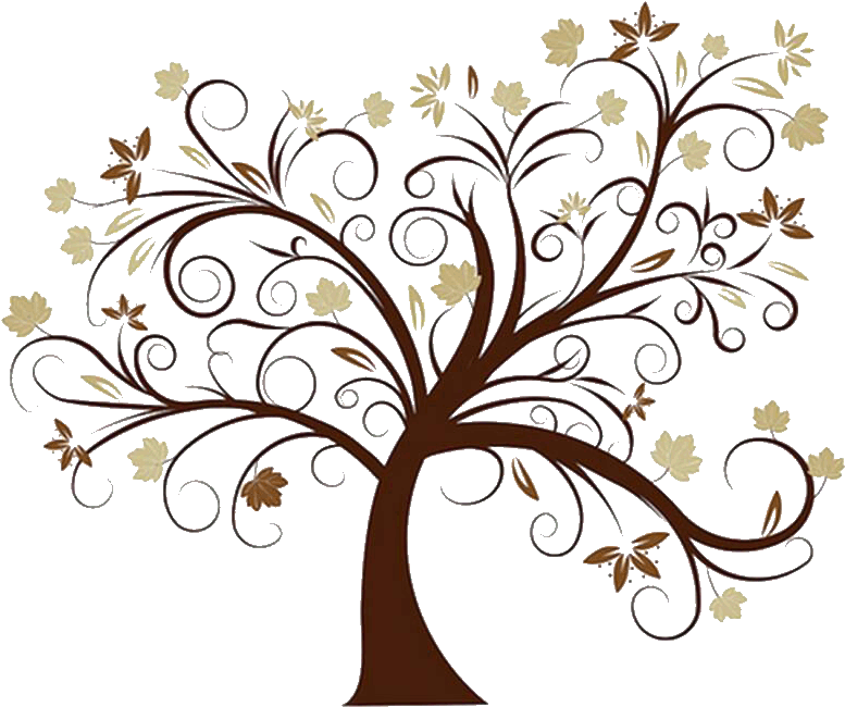 Png Transparent Library Family Clip Art Reunion Dcreaqbc - Transparent Tree With Roots (800x678), Png Download