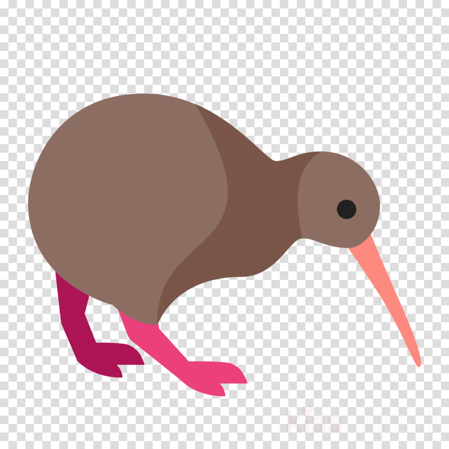 New Zealand Bird Kiwi Cartoon Clipart Bird North Island - New Zealand Kiwi Bird Cartoon (900x900), Png Download