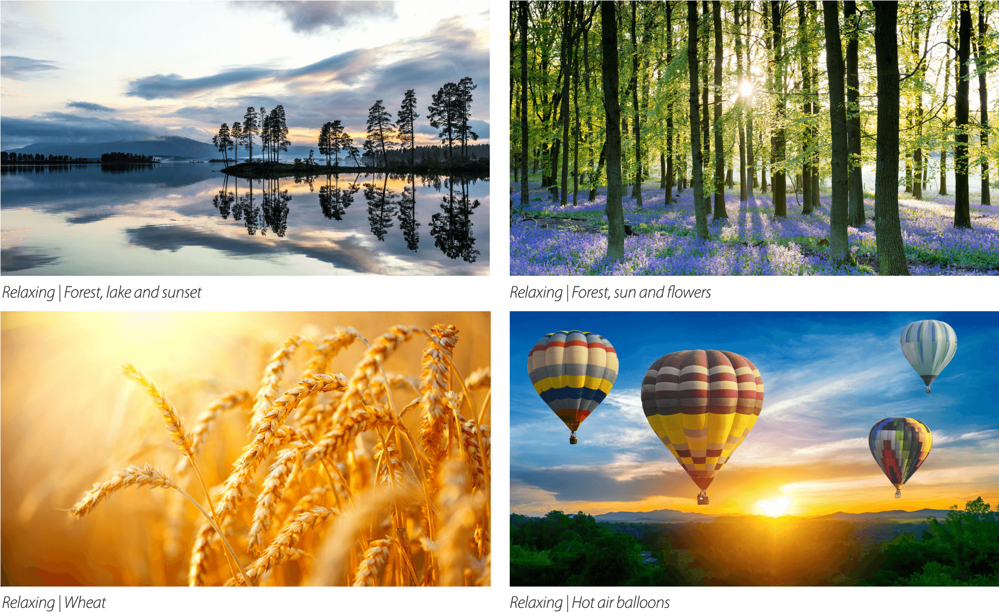 Photo Panels - Il Chicco Di Grano. I Frutti Squisiti Della Purificazione (2000x1242), Png Download