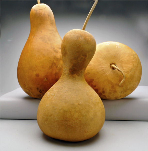 Pre-boxed Clean Mix Shape Gourds - Shape (1200x600), Png Download