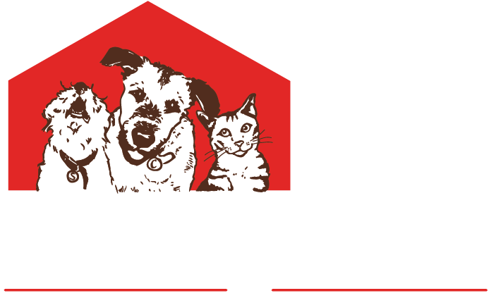 2 - Stella And Chewy Logo (709x456), Png Download