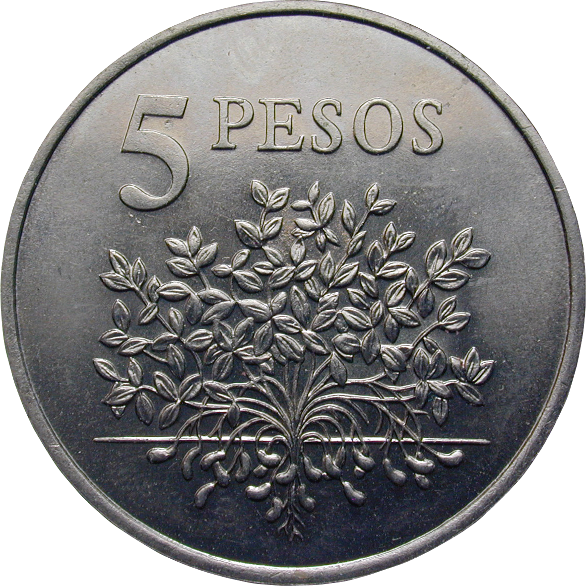 Pesos Png Langhanteln Gewichtsstangen Gewichte Fitnessartikel - Coin (1181x1181), Png Download