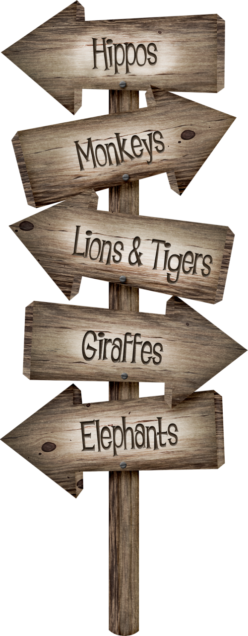 ○•°‿✿⁀zoo Safari‿✿⁀°•○ - Jungle Signs (500x1280), Png Download