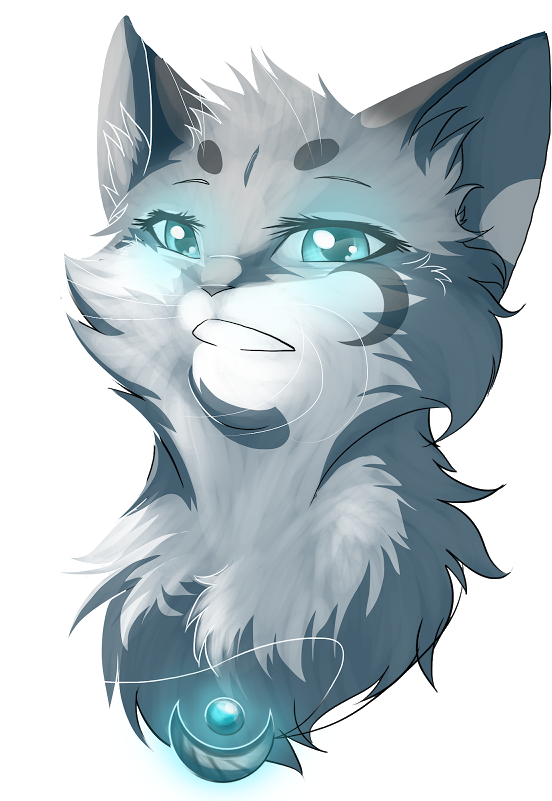 Crescent'fall - Warrior Cats Face River Spirit (800x800), Png Download