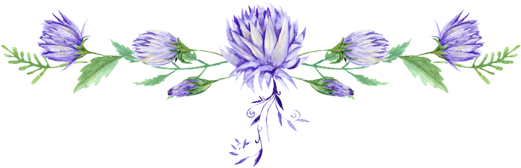 Purple Elegance Floral Dividing Line Transparent Decorative - Watercolor Painting (1024x363), Png Download