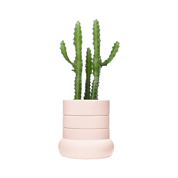 Flowerpot (620x620), Png Download