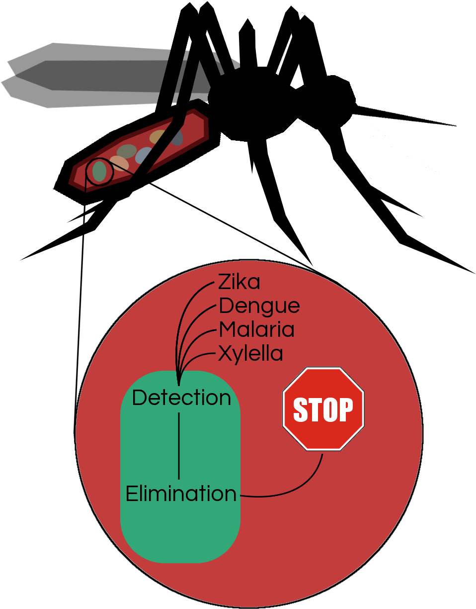 Controlled Genetic Circuits And Chassis Populations, - Bottled Water Free Day (1014x1368), Png Download