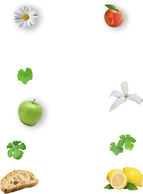 Img Gallina De Piel - Chicken (880x1020), Png Download