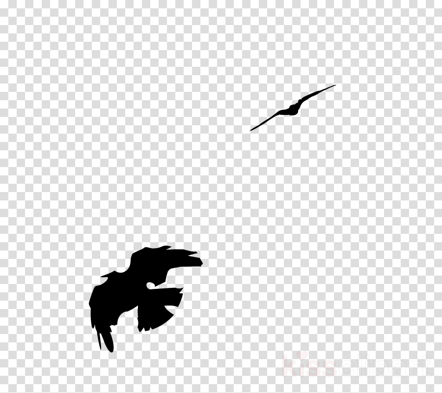 Common Raven Clipart American Crow Bird Rook - Transparent Background Sports Png (900x800), Png Download
