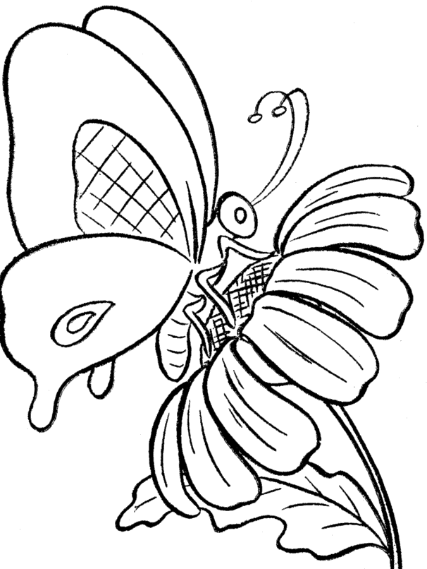 Butterfly And Sun Flower Coloring Print - Drawing Of A Butterfly On A Flower (606x806), Png Download