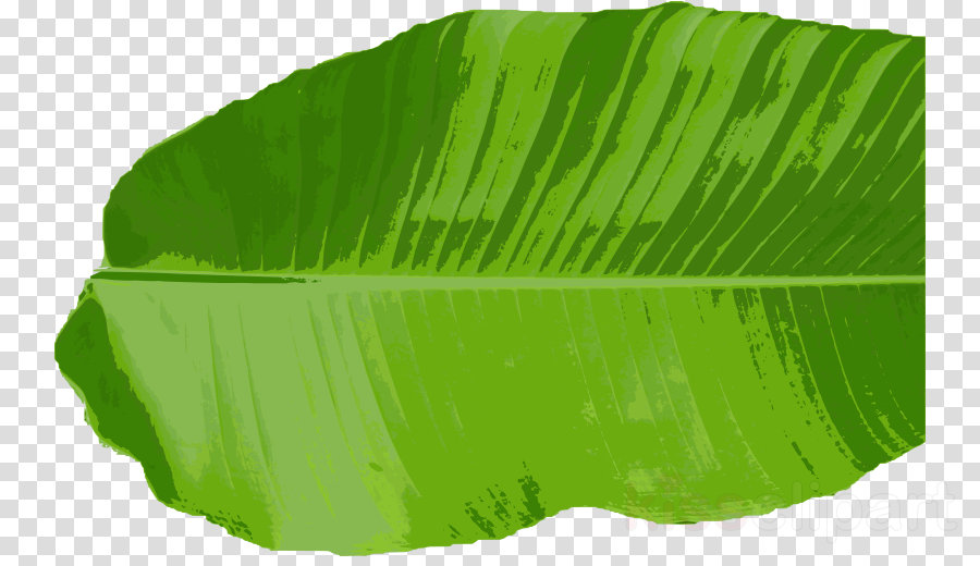 Banana Leaf Png Clipart Banana Leaf Clip Art - Clip Art (900x520), Png Download
