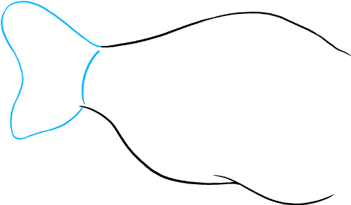 How To Draw Angler Fish - Flounder (680x678), Png Download