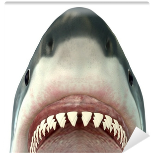 Close-up Of A Great White Shark Rolled Canvas Art - (400x400), Png Download