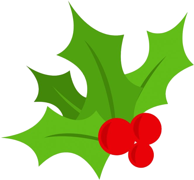 Holly, Christmas Tree, Berry, Christmas, Festivals - Mistletoe Graphic (640x640), Png Download