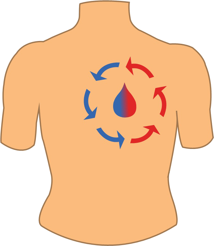 Cvs - Illustration (710x815), Png Download