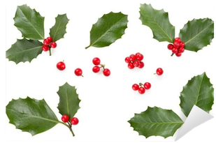 Ilex Aquifolium Leaf (400x400), Png Download