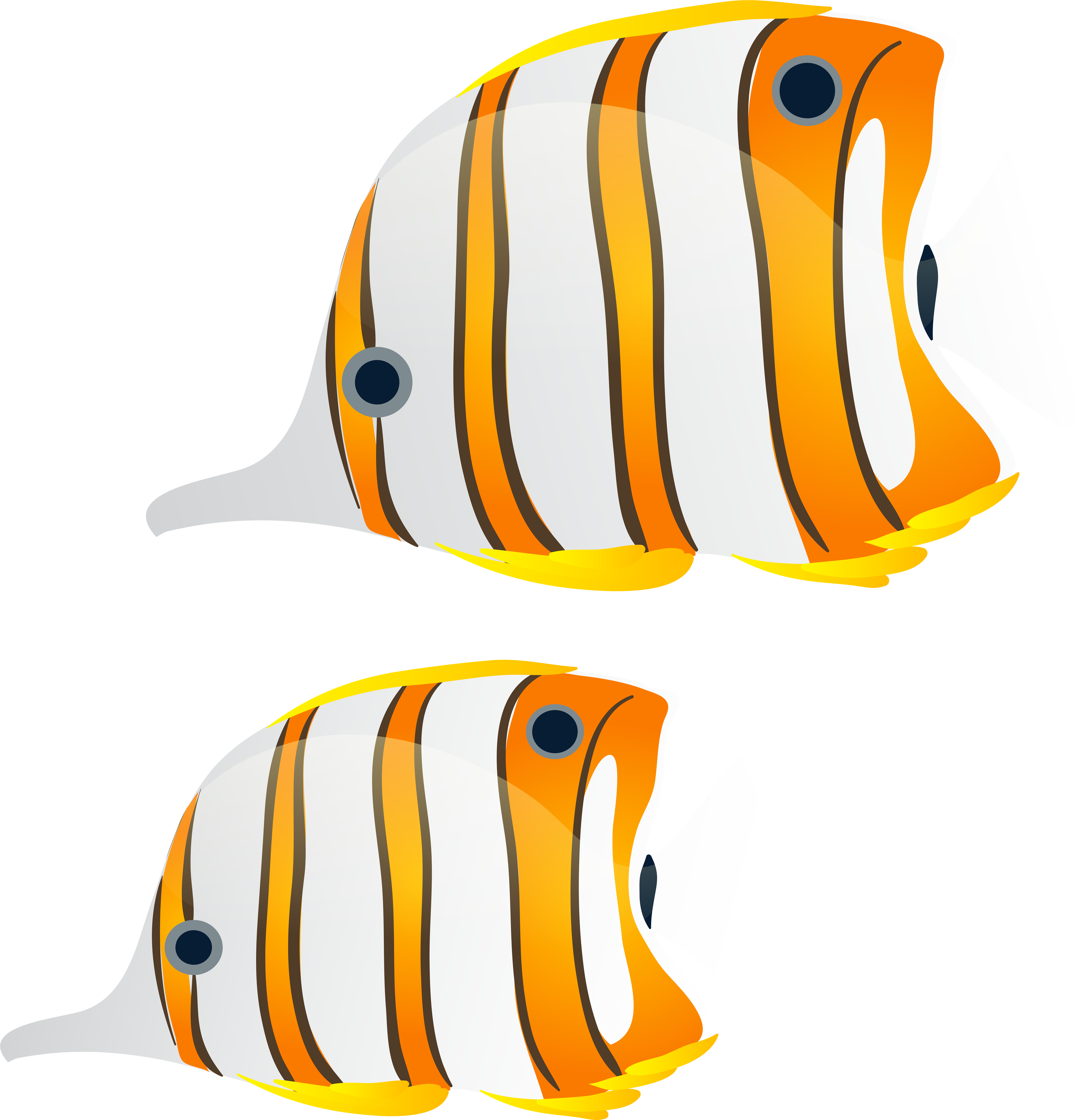 Fishes Png (7568x8000), Png Download